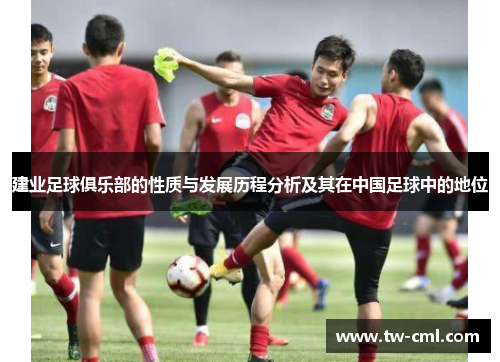 建业足球俱乐部的性质与发展历程分析及其在中国足球中的地位